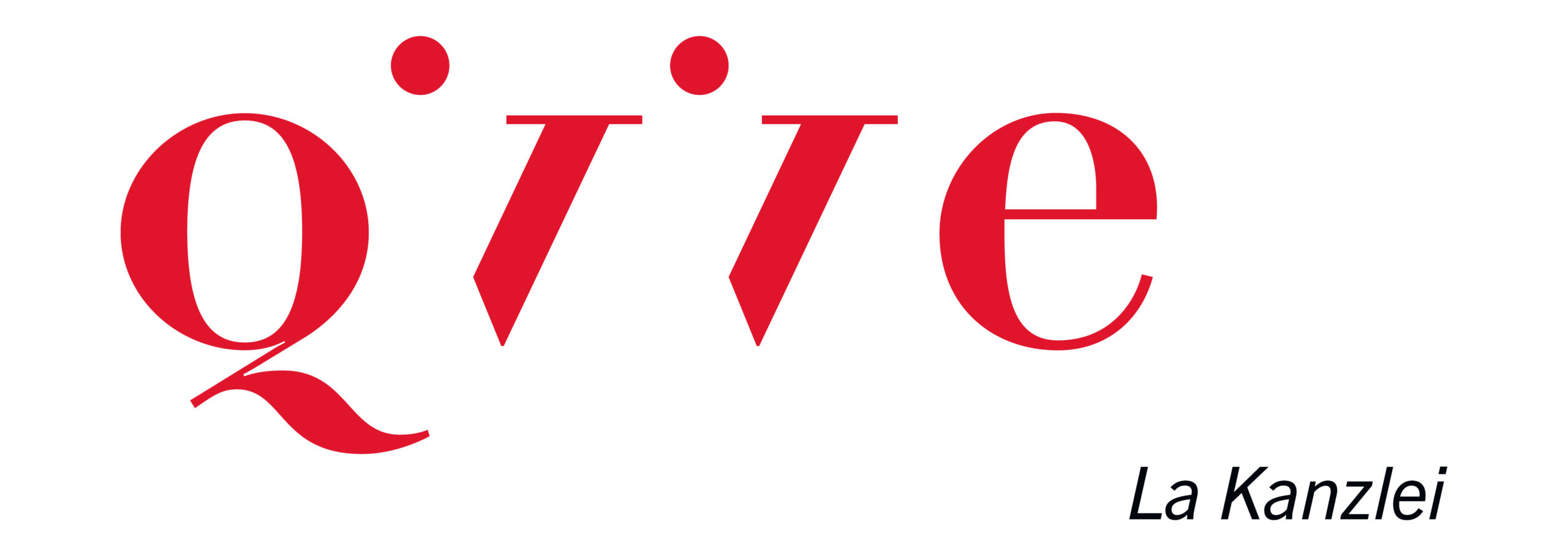DFM Jahrbuch 20 Werbung Qivive Logo